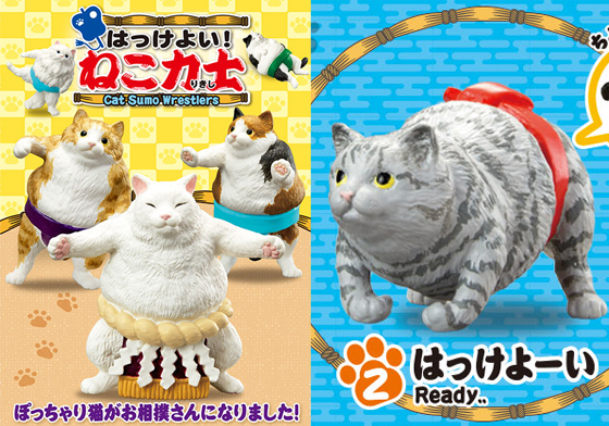 地表最萌相撲選手來啦！胖嘟嘟的「貓咪力士」參上 はっけよい！ねこ力士、貓咪力士、貓咪相撲選手、日本、RE-MENT