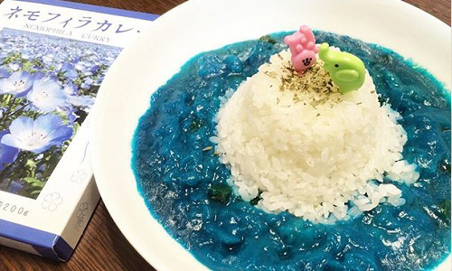 這款藍色咖哩你吃得下去嗎？日本彩色咖哩飯大集合！ 咖哩、粉蝶花、地膚、櫻花、紅甜菜