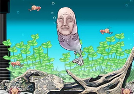 總是一臉猥瑣的跟你討吃的！逗趣的另類養成遊戲《人面魚歐吉桑觀察日記》 人面魚、放置養成、觀察日記、人面魚おじさん育成キット、Human face fish man Evolution