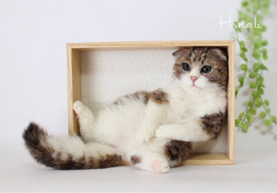 本尊分身到底差在哪！相似度高達100%的大師級羊毛氈作品 ヒナリ、hinali_felt、羊毛氈、貓、擬真