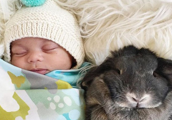 打勾勾要一起長大喔！寶寶Finn與兔寶寶們的友愛日常 嬰兒、寵物、兔子、Finn、寶寶