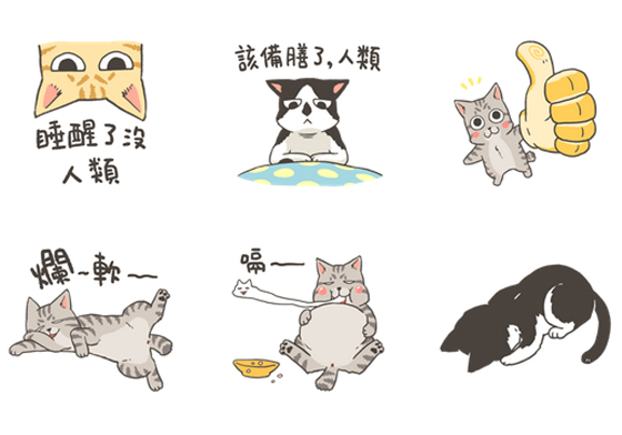 「該備膳了，人類」貓奴請接旨　一秒化身貓大王的貼圖《小咖飛的三貓日常》 小咖飛的三貓日常、LINE、貓奴