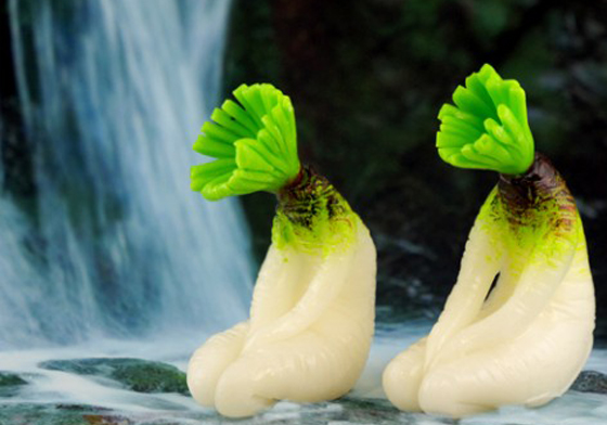 活像個心事重重的歐吉桑！日本搞笑蘿蔔造型擺飾內心戲超多 蘿蔔、詭異、好笑、擺飾、日本