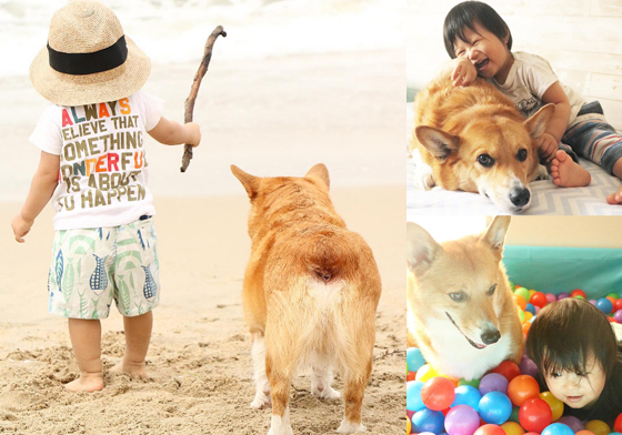 也想被柯基哥哥這樣疼！萌犬與小男嬰的跨種族兄弟情超溫馨 りあ、Leah、Hugh、MJ、柯基