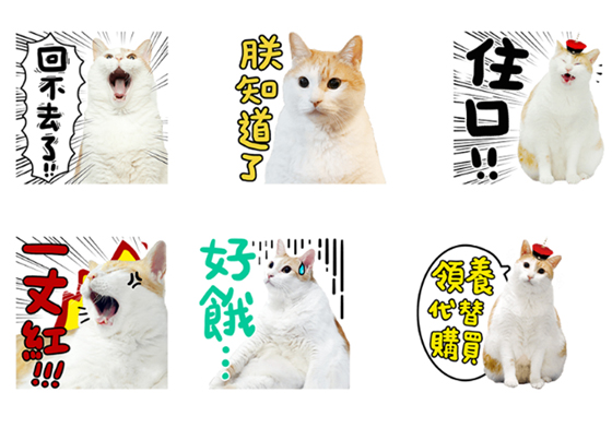 聽你千遍也不厭倦！黃阿瑪和後宮們的有聲貼圖出來啦 黃阿瑪、後宮、黃阿瑪的後宮生活、貓、貓咪