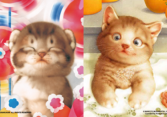 妞特企：似曾相識卻總是叫不出名？畫比人紅的動物畫家村松誠來啦！ 妞特企、村松誠、插畫、動物、貓、狗、村松貓、療癒、文具