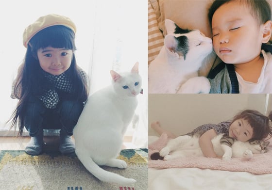我們是永遠的家人！10隻IG人氣貓與主人的幸福日常 貓、喵星人、IG、人氣貓、寫真書