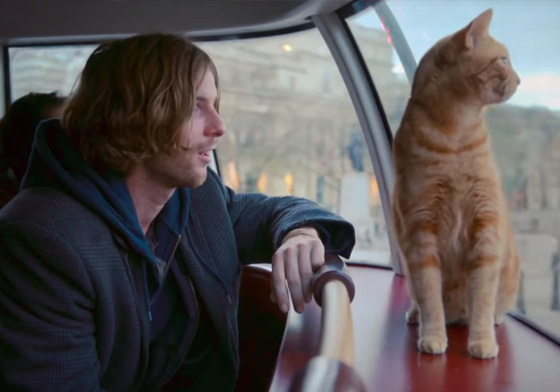 遇見你我才找到存在的意義！真人真貓的暖心電影《A Streetcat Named Bob》 溫馨、感動、真人真事、貓奴、貓主子