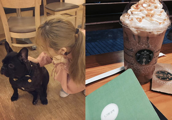 假裝辦公其實都在聽八卦！4件大家默默在咖啡廳做的事情… 咖啡廳、貓、狗、玩、八卦、文青、辦公、蘋果、打卡、辦公、假掰