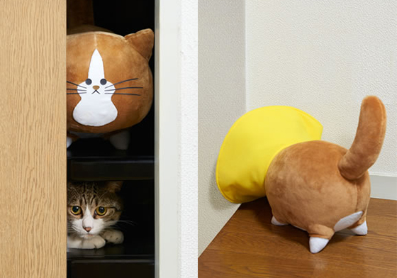 貓奴療癒必收品再一發！讓你可以這樣又那樣的「貓咪Ponta」系列周邊 貓、貓咪、喵星人、布偶、娃娃