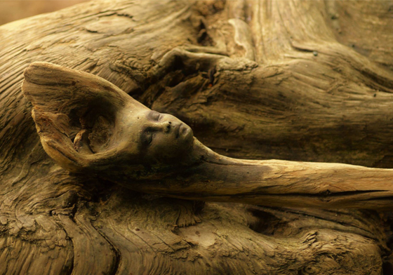 縮小版的柳樹婆婆？與大自然完美結合漂流木雕刻 漂流木、柳樹婆婆、雕刻、木頭、Debra Bernier、浮木、藝術