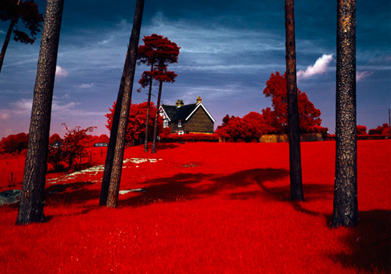 肉眼看不到的這樣拍得到！奇幻詭譎的「紅外線攝影」 紅外線攝影、Ed Thompson、詭譎、奇特、夢幻