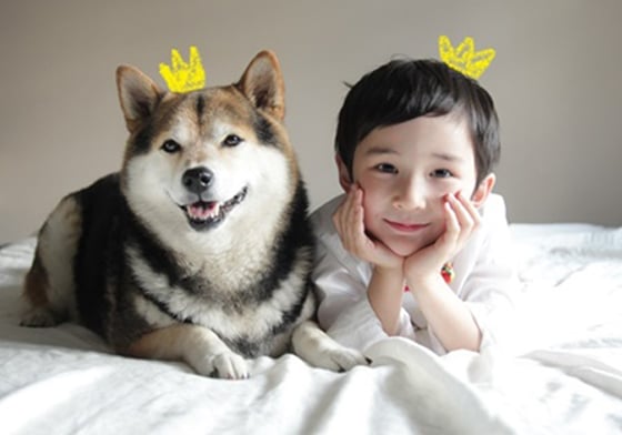 終於等到你長大了❤混血小正太和萌萌柴犬的玩樂日記 日本、小正太、可愛、柴犬、狗狗