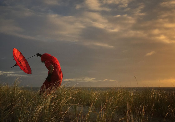 再次證明手機能拍出好照片！今年iPhone攝影獎得獎作品掃描 IPPA、2016、iPhone、攝影獎、作品、得獎、手機、藝術