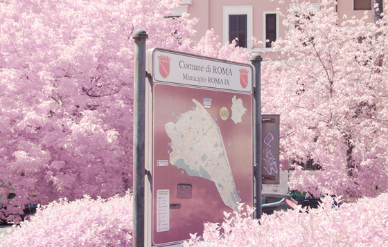 想知道戀愛中的粉紅世界是長怎樣嗎？猶如盛開櫻花季的紅外線攝影創作 紅外線攝影、Milán Rácmolnár、櫻花、奇特、夢幻