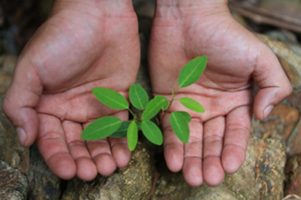 [新聞稿]綠色美妝領導品牌THE BODY SHOP 打造千萬平方公尺生態橋  THE BODY SHOP、美妝、保養、綠能、生態、環境、保護、地球、越南、印度