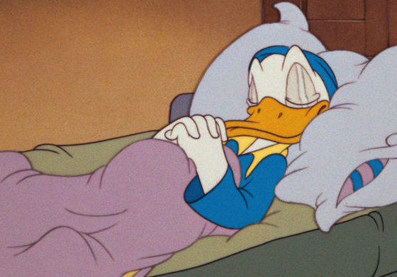 夢到狗吠竟然是有悲傷的事？夢境帶給你的10種動物訊息 夢境、解析、夢的分析、作夢、動物