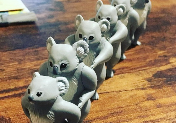 向前看齊！惡搞系扭蛋「排隊無尾熊」滿足你愛排隊的欲望 排隊、無尾熊、扭蛋、轉蛋、食玩