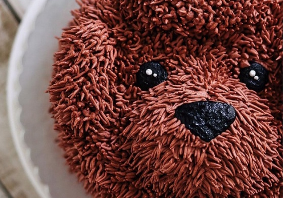 可以下訂一隻柴柴嗎？印尼甜點師讓動物在蛋糕上活過來了 蛋糕、動物、甜點師、印尼、雅加達