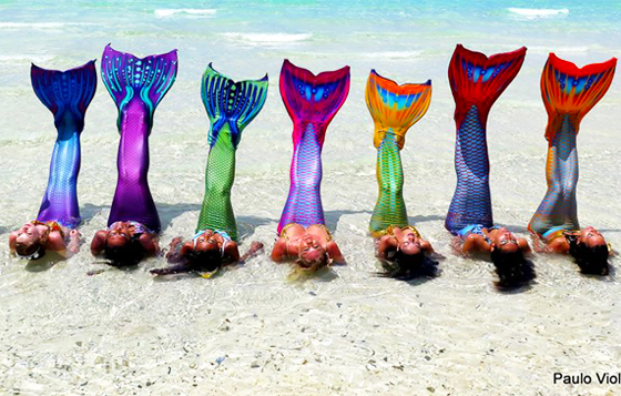 教你學會怎麼用魚尾游泳！來趟「美人魚養成計畫」吧！ 美人魚、養成計畫、Philippine Mermaid Swimming Academy、宿霧、馬尼拉、長灘島