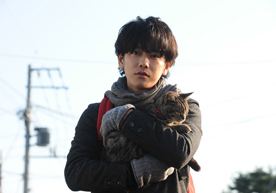 8月18、19日新片快報：《如果這世界貓消失了》面紙預備備！ 絕鯊島、如果這世界貓消失了、大顯神威、賓漢、電影