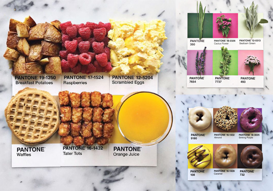 甜甜圈的PANTONE色號是？創意十足的美食色票攝影 instagram、lucialitman、lucy litman、pantone、色票