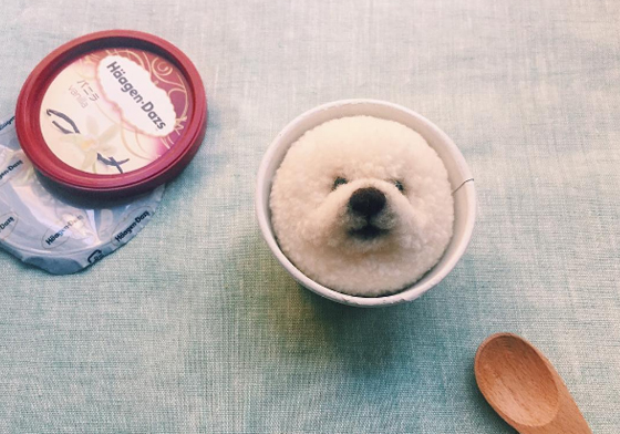 來一碗「比熊」口味的哈根達斯？萌到你站不穩的狗狗毛線藝術 instagram、TRIKOTRI222、柴柴、Tsubasa Kuroda、可愛