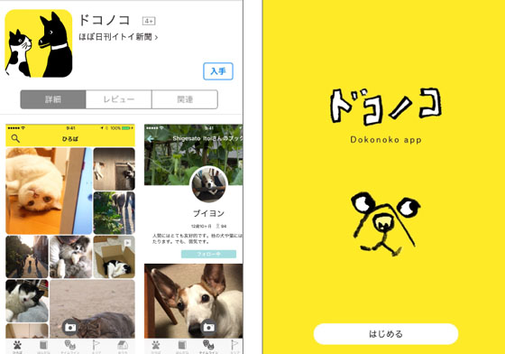 號稱「寵物界的IG」！這款社群軟體拉近寵奴與毛孩的距離 寵物、IG、Dokonoko、攝影、社群、ほぼ日、糸井重里、iOS、Android