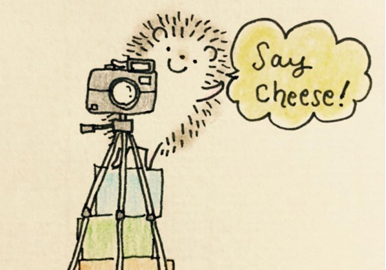 不允許你獨自孤獨！讓小刺蝟手札每天療癒你的心 なみはりねずみ、刺蝟、日記、namiharinezumi、動物、藝術