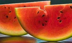 [騙眼睛集團] 視覺震撼再放大 透光水果剖面繪畫 背光、透光、水果、剖面、切面、繪畫、騙眼睛集團、騙眼睛、MAGIC、Dennis Wojtkiewicz、藝術