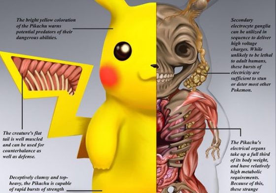 同學們，來上生物課囉！神奇寶貝們的超精密解剖圖 生物、解剖圖、神奇寶貝、皮卡丘、妙蛙種子