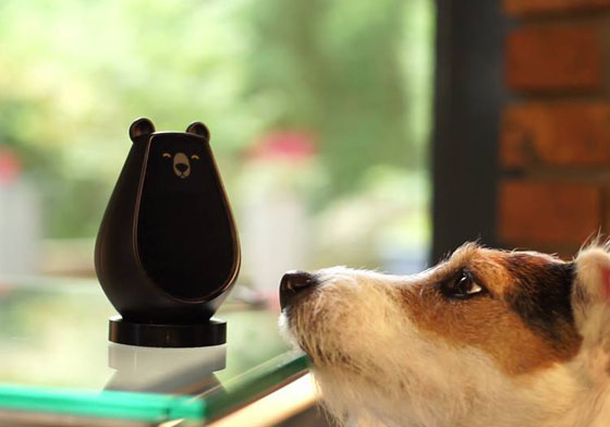 有了它遙控器都可以丟掉啦！會對你擠眉弄眼的小熊遠端智能遙控    Bearbot、遠端智能遙控、遙控器、做表情、互動