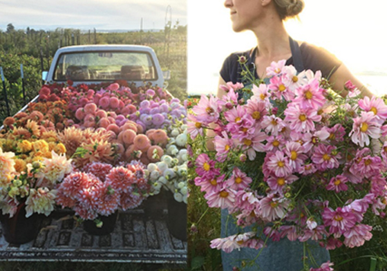 全家搬去鄉下住都是為了「它」！美國充滿澎湃花花的夢想農場 floretflower、Erin Benzakein、花、花農、花藝