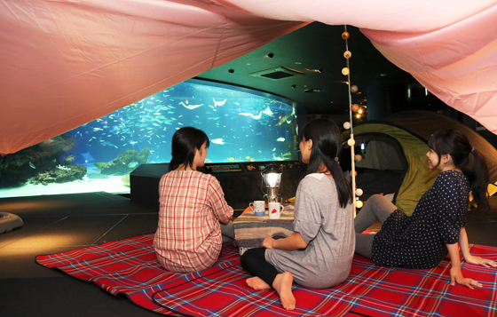 來去東京水族館住一晚！夜間限定的Lady’s滿月喝酒派對 日本、東京、池袋、百貨、導覽、喝酒、企劃、水族館、Sunshine City、滿月
