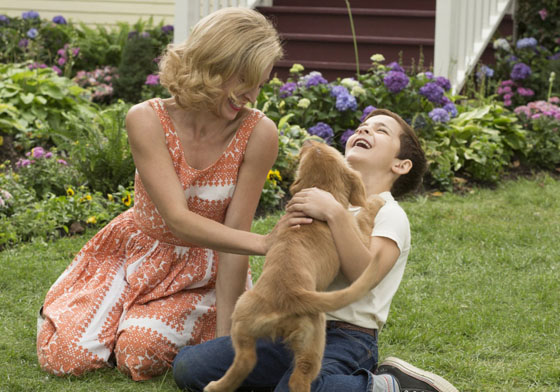 狗狗每一世的輪迴都只為與你相遇！逼哭你兩行淚的《為了與你相遇》    為了與你相遇、The Dog's Purpose、萊思霍斯壯、Lasse Hallström、狗臉的歲月