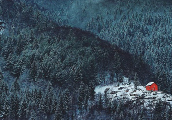 這就叫遺世獨立嗎？想一卡皮箱入住的大自然小屋 大自然、深山、湖畔、隱居、山林