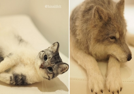 到底要被騙幾次才願意相信？超擬真的動物羊毛氈又來了！ 擬真、動物、羊毛氈、猴子、柴犬