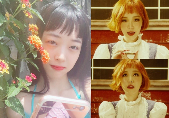 韓星們在瘋的就是這款！超Q的Choppy瀏海可愛度破表 Choppy、Choppy瀏海、韓國、韓星、雪莉