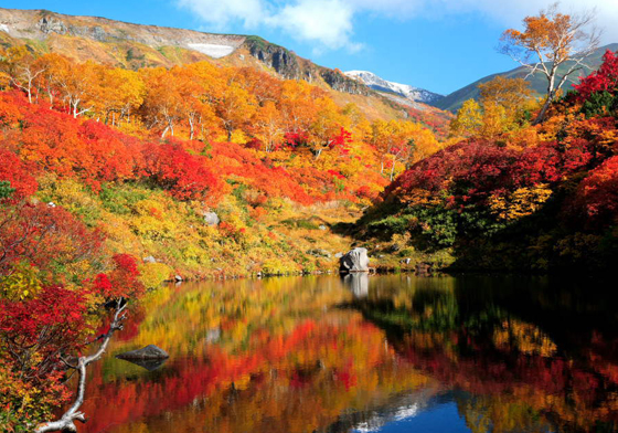 初秋到，日本第一波紅葉前線公開啦！北海道4大賞楓名所不私藏推推 愛玩妞、日本、秋天、楓葉、紅葉