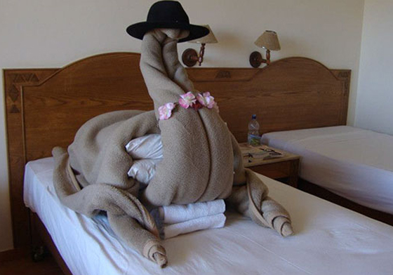 連駱駝都能出現在房間裡！飯店業者們使命必達的超強房間佈置 飯店、惡搞、貼心、旅遊、住宿、房間佈置、渡假、惡作劇