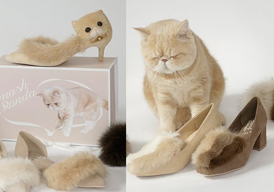 蒐集貓毛全是為了做鞋子？！激可愛「貓咪毛毛鞋」完美實現貓奴的夢想 RANDA、mash1126a、マッシュ、 mash、聯名