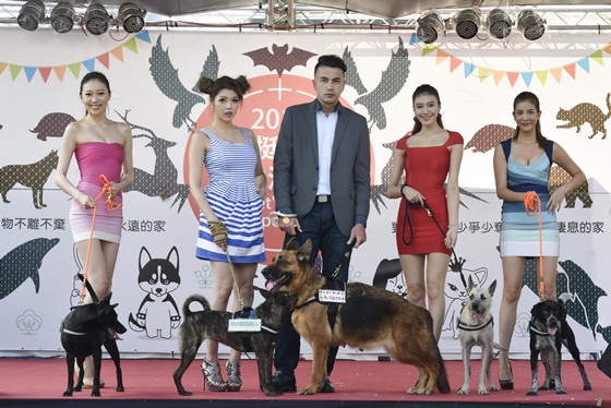 [新聞稿]2016挺挺動物生活節 藝人名模帶毛小孩走上伸展台 挺挺動物生活節、領養代替購買、毛小孩、藝人、名模、黃志瑋、殷琦、流浪動物