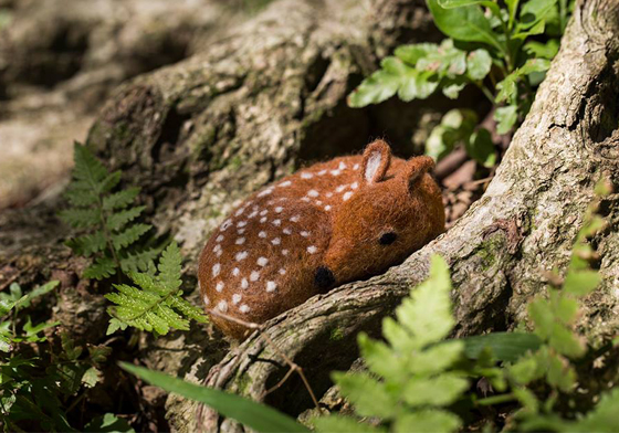 妞專訪：可愛萌物到擬真人像都在守備範圍！羊毛氈達人Feya的手作世界 羊毛氈、Feya、高菁穗、下手上手、來去窩課、羊毛氈手創館、故事性、社會事件、人權議題、肖像、展覽、藝術