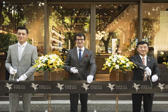 [新聞稿]耳目一新的葡萄酒界精品是？Bordeaux Vineam品牌概念店華麗登台  法國、翡馬、葡萄酒、白葡萄酒、Bordeaux Vineam、酒莊、波爾多、有機