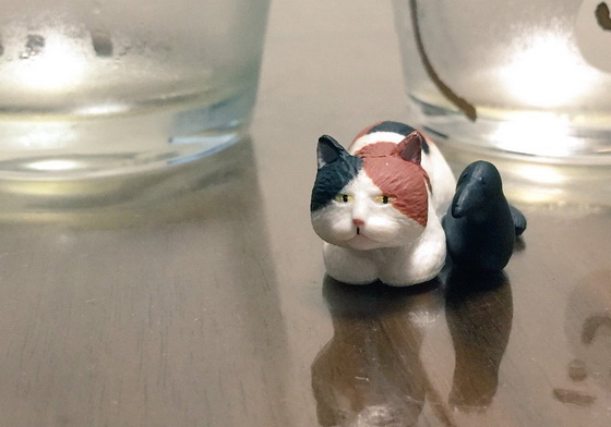 貓咪與烏鴉是好朋友？！「好感情的動物們」系列扭蛋第一彈邪惡登場 貓咪、貓、主子、喵星人、貓奴