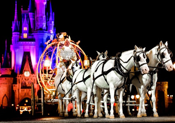 600萬的豪華婚禮！把整個迪士尼包下來實現一生一次公主夢 迪士尼、婚禮、童話故事、公主與王子、馬車