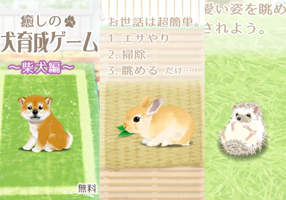 刺蝟、兔兔光看就紓壓了啊〜4款萌寵療癒系養成遊戲特蒐 手機、養成遊戲、App、可愛、紓壓