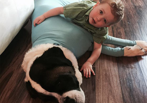 寵物掉毛問題一件搞定？「防脫毛衣」幫主人解決換毛季的煩惱 狗狗、寵物、緊身衣、防脫毛、掉毛