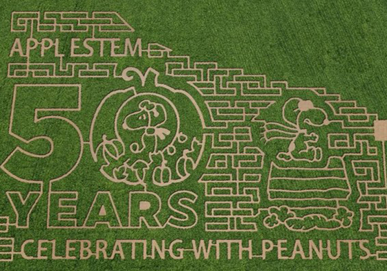 這些玉米田也太可愛！只有萬聖節才有的超好玩史努比迷宮 Peanuts、 Snoopy、玉米田、迷宮、闖關