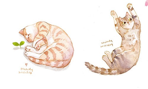 天下的貓咪都是一樣的…可愛？喵星人過很爽動圖療癒滿分 貓咪、喵星人、療癒、插畫、動圖